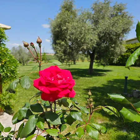 Agrifa' Konukevi Pitigliano