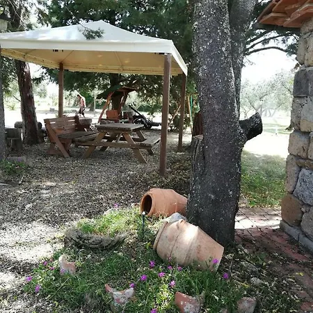 Agrifa' Πιτιλιάνο