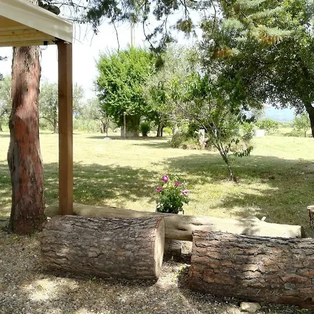 Agrifa' 피틸리아노