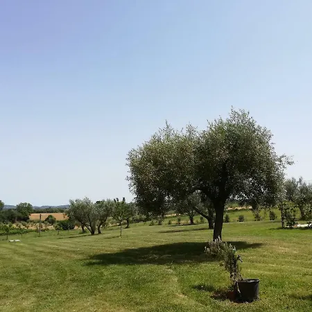 Agrifa' Pensión 3*