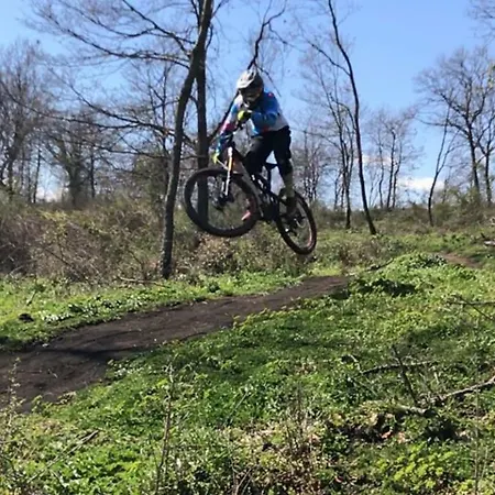 Agrifa' 피틸리아노