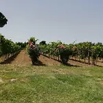 Agrifa' Konukevi